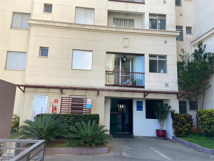 Foto REO1086480