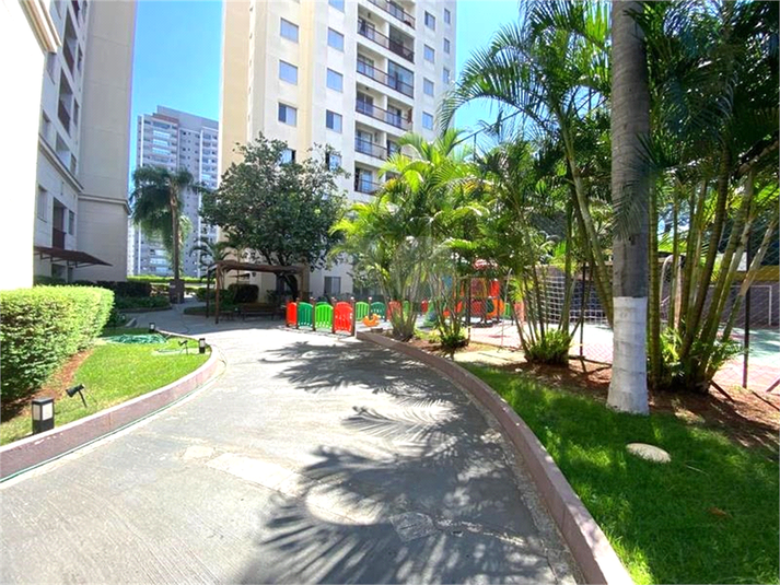 Foto REO1086480