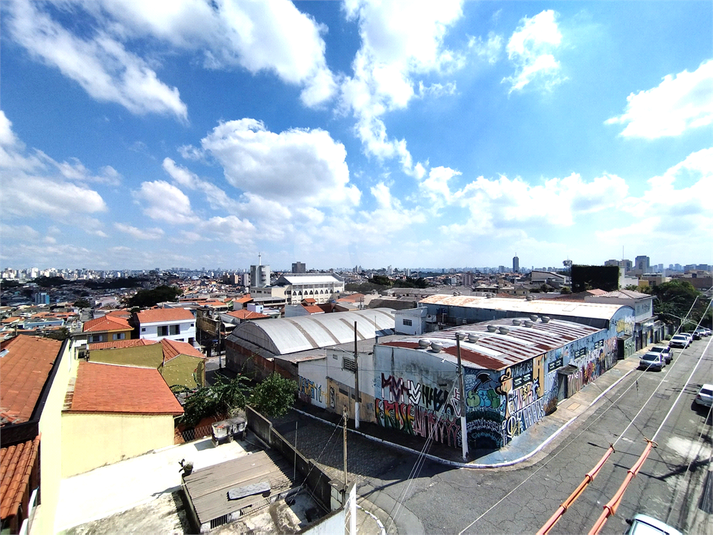Foto REO1086512
