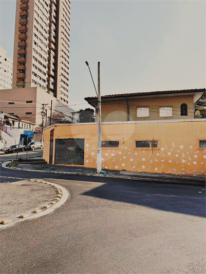 Foto REO1086523