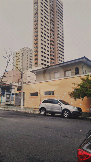 Foto REO1086523