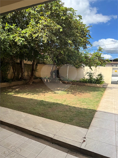 Foto REO1086524