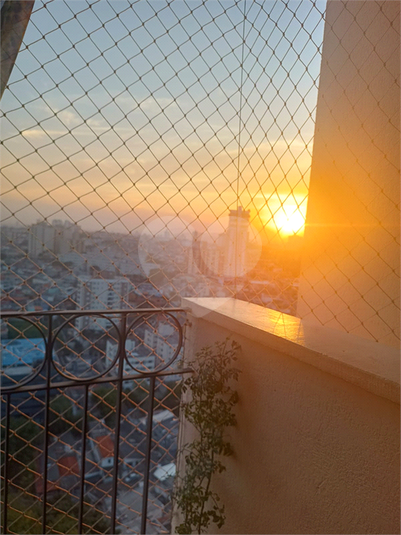 Foto REO1086525