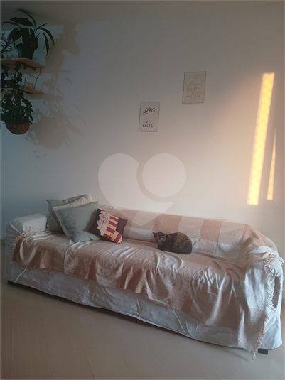 Foto REO1086525