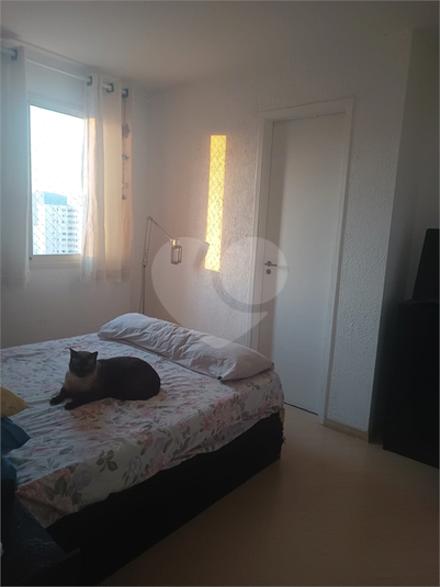 Foto REO1086525