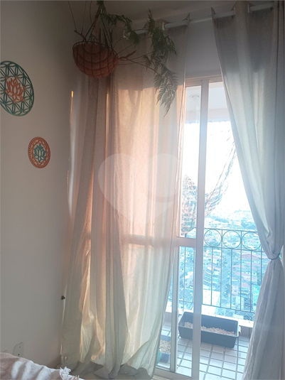 Foto REO1086525