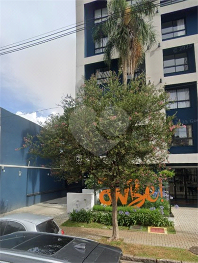Foto REO1086540