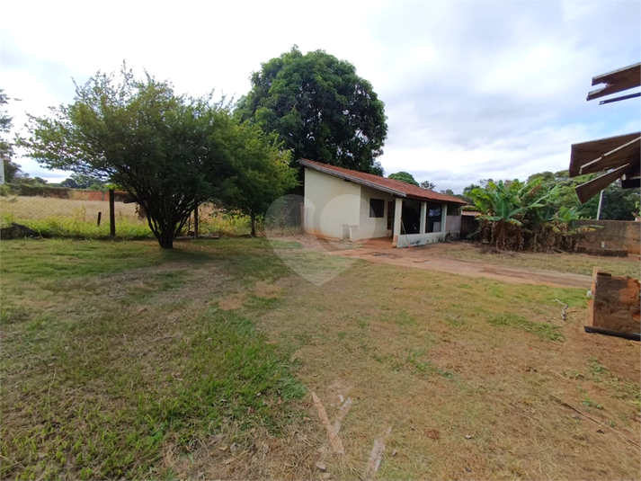 Foto REO1086561