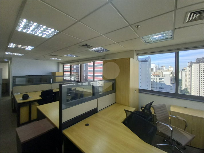 Foto REO1086569