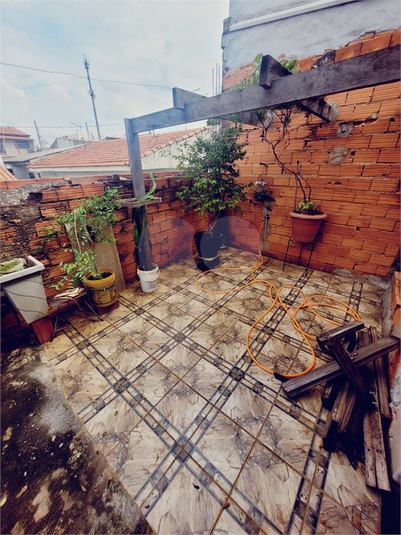 Foto REO1086578