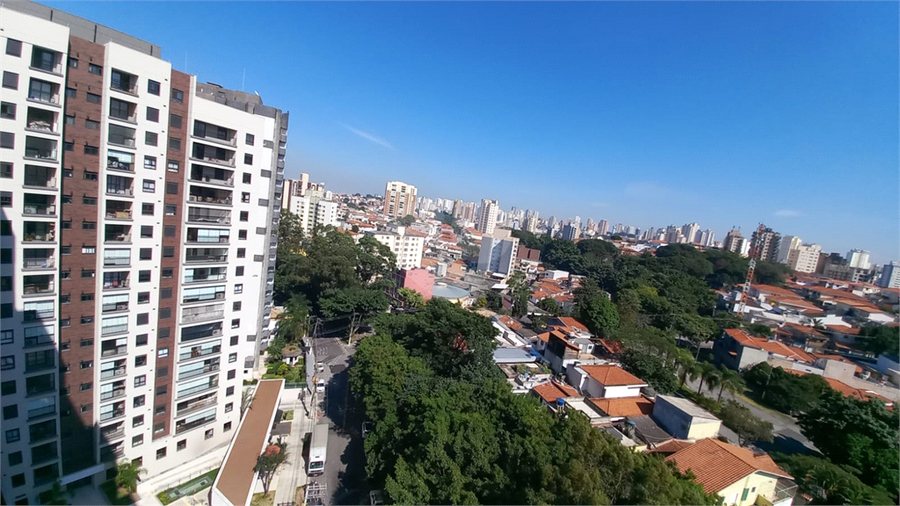 Foto REO1086586