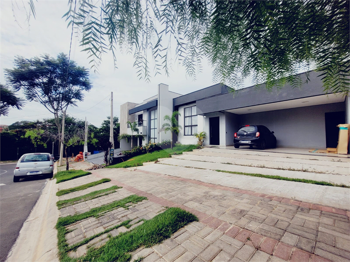 Foto REO1086590