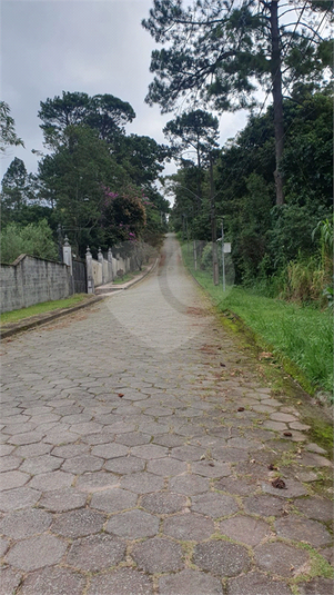 Foto REO1086602