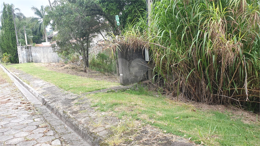 Foto REO1086602