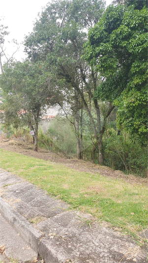 Foto REO1086602