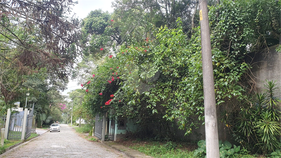 Foto REO1086602