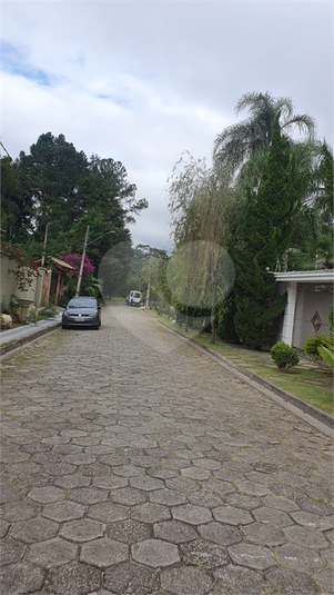 Foto REO1086602