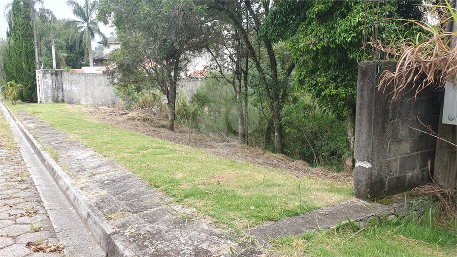 Foto REO1086602