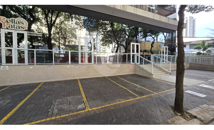 Foto REO1086609