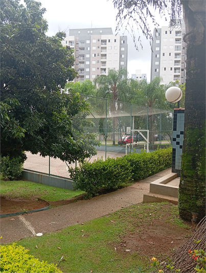 Foto REO1086616