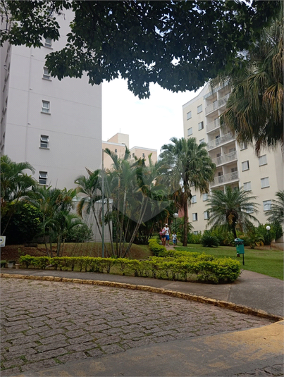 Foto REO1086616