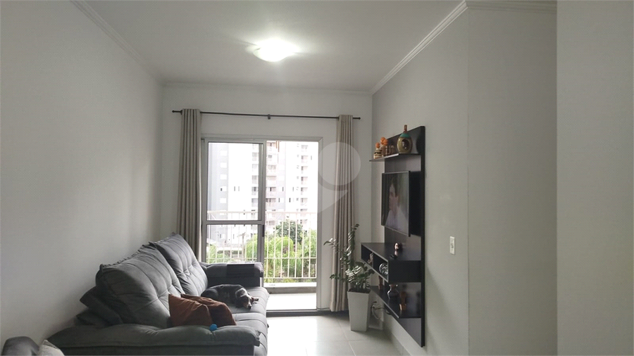 Foto REO1086616