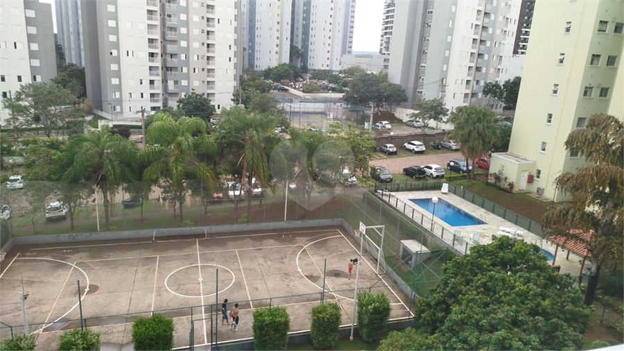 Foto REO1086616