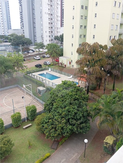 Foto REO1086616