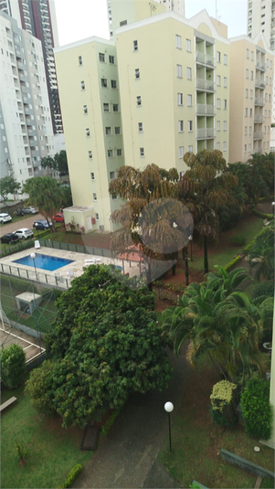 Foto REO1086616