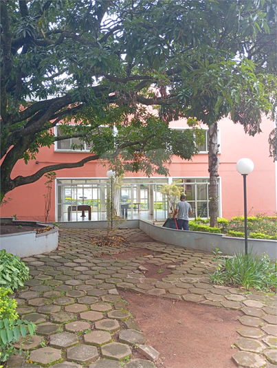 Foto REO1086616