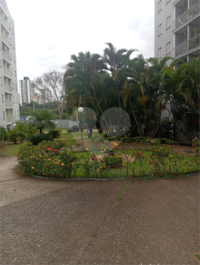 Foto REO1086616