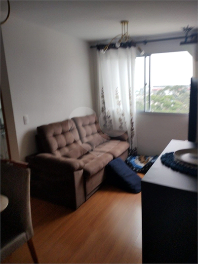 Foto REO1086626