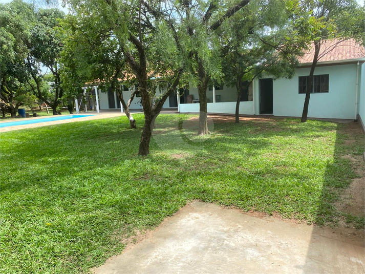Foto REO1086628