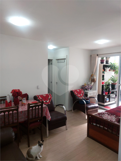 Foto REO1086642