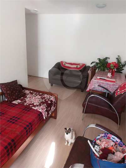 Foto REO1086642