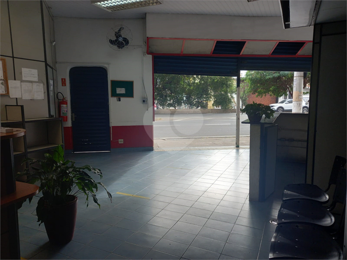 Foto REO1086643