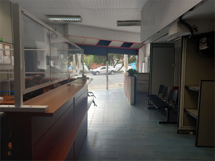 Foto REO1086643
