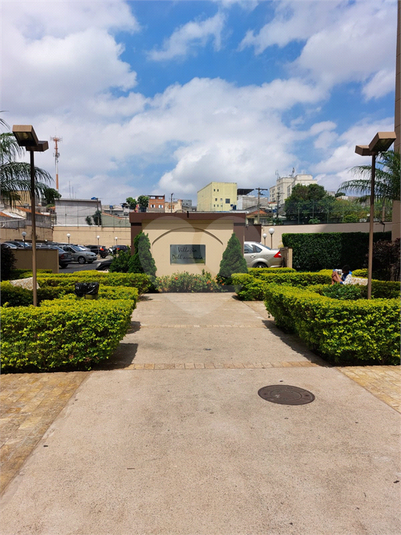 Foto REO1086648