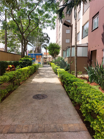 Foto REO1086648