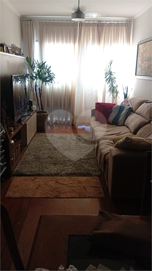Foto REO1086656