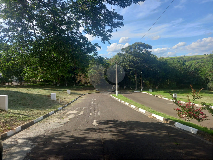 Foto REO1086658