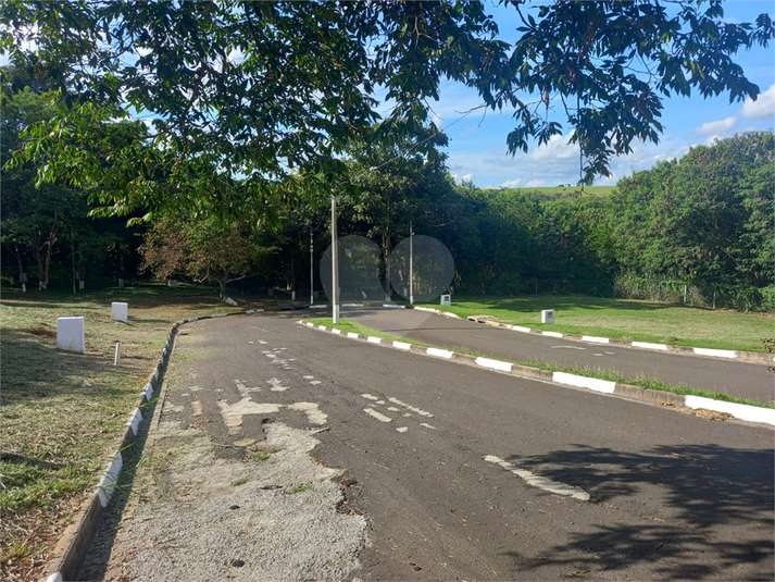 Foto REO1086658