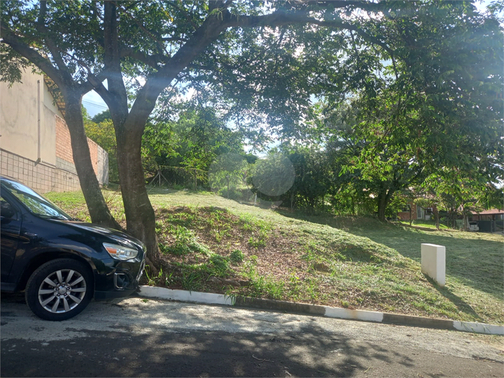 Foto REO1086658