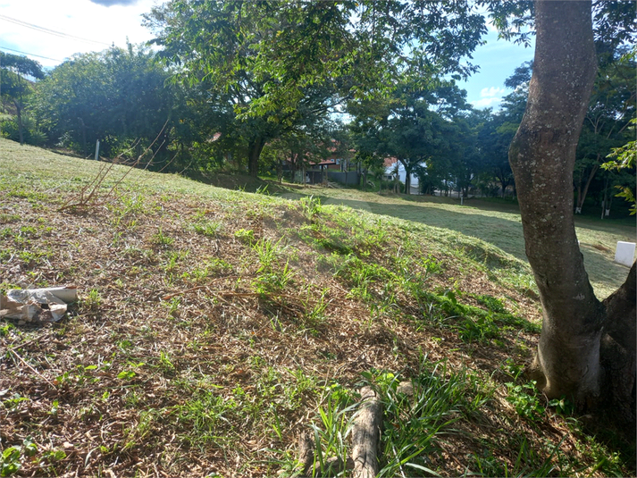 Foto REO1086658