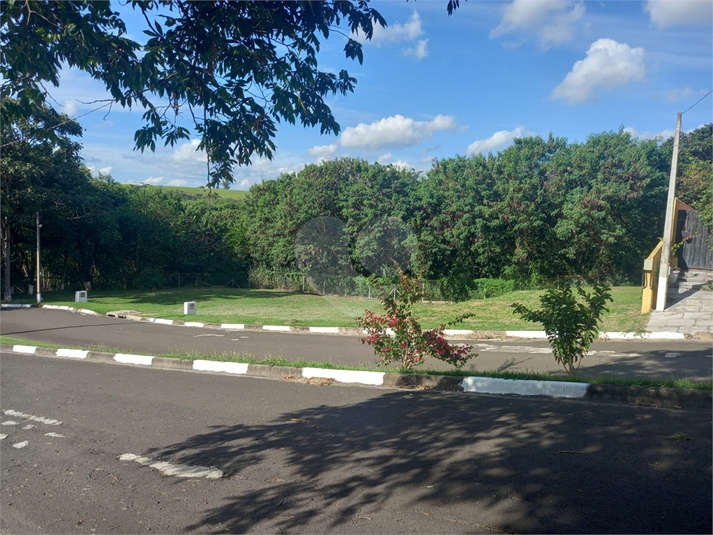 Foto REO1086658