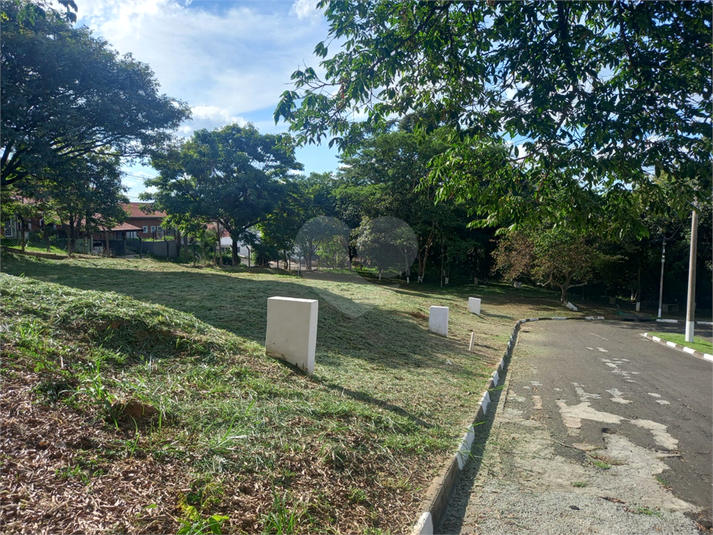 Foto REO1086658
