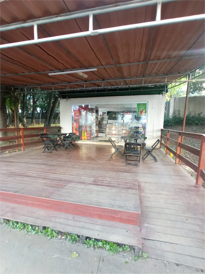 Foto REO1086679