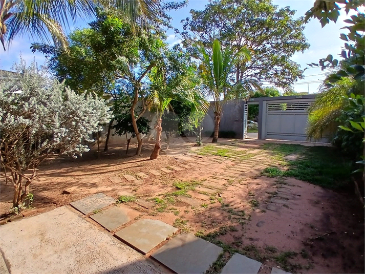 Foto REO1086680