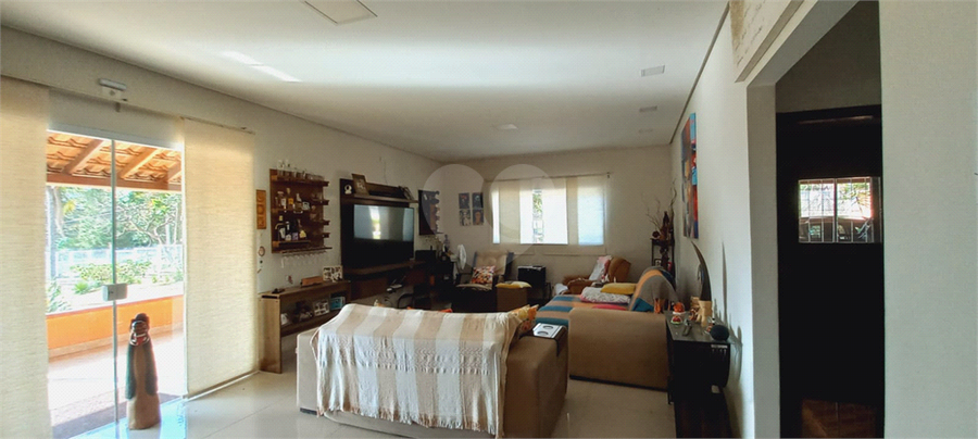 Foto REO1086681
