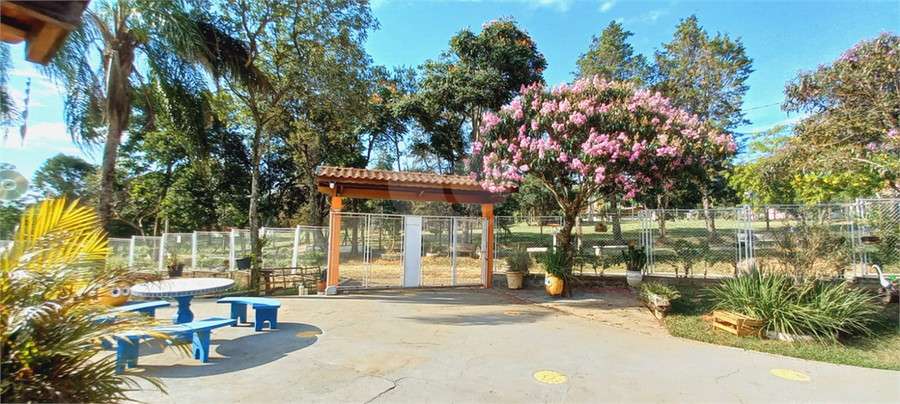 Foto REO1086681